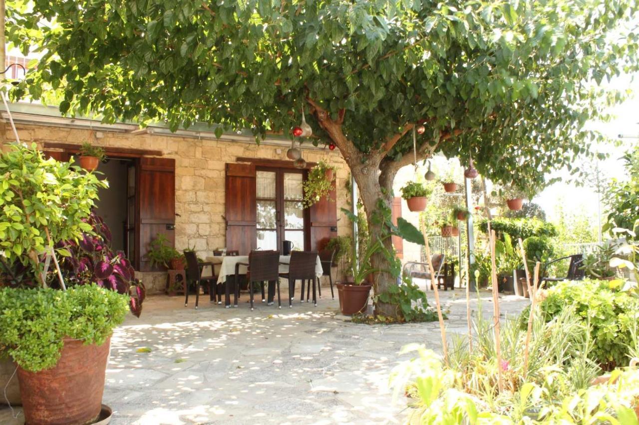 Bed and Breakfast Georgia'S House Fyti Экстерьер фото